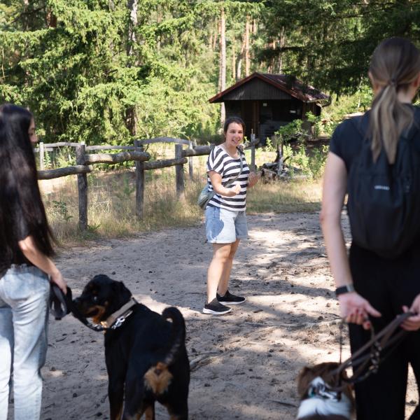 Kostenloser Social Walk