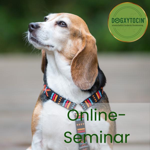 Online-Seminar: Lernen will gelernt sein - Trainingsbasics für den Alltag