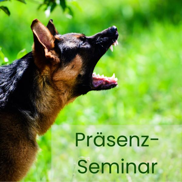 Präsenzseminar: Positiv aufgebaute Abbruch- und Notfallsignale