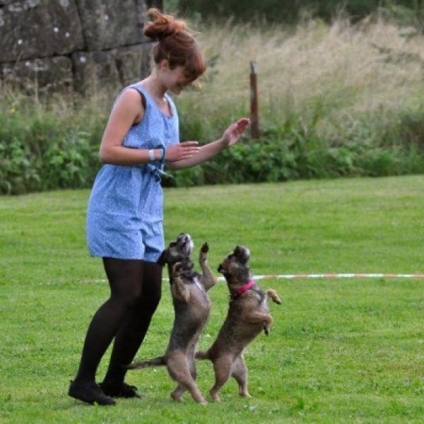 DogDance