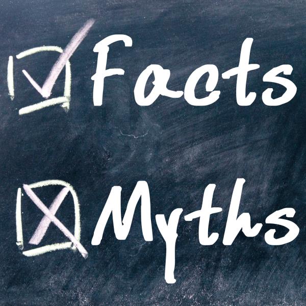 Live-Webinar: Trainingsmythen