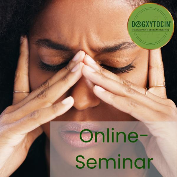 Online-Seminar: Burnout und Emotional Fatigue im Zusammenleben mit fordernden Hunden