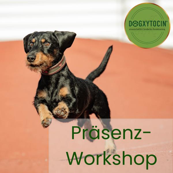 Präsenz-Workshop: Impulskontrolle und Frustrationstoleranz