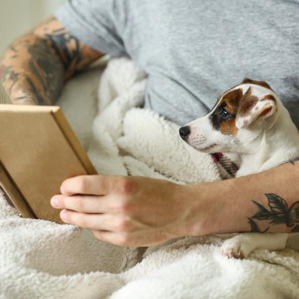 Online-Fortbildung: Schmerzen beim Hund erkennen ♡ Sehen, was nicht gesagt wird