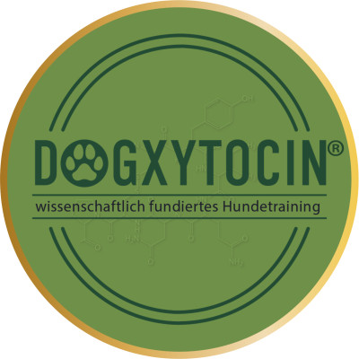 einzelne:r Trainer:in