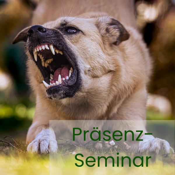 Präsenzseminar: Tierwohlgerechte Therapie- und Trainingsmethoden bei aggressivem Verhalten - Fundierte Kompetenz anstelle aversiven Entertainments.