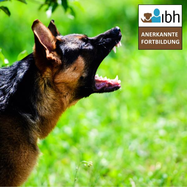 Präsenzseminar: Positiv aufgebaute Abbruch- und Notfallsignale