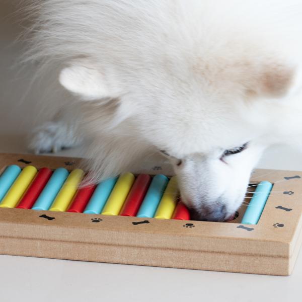 Multi-Talent