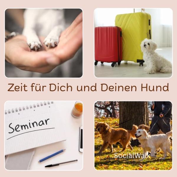 Katerberg Special-Weekend