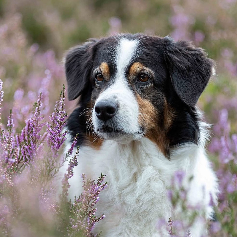 Mini-Sammel-Fotoshooting mit Valerie Luther