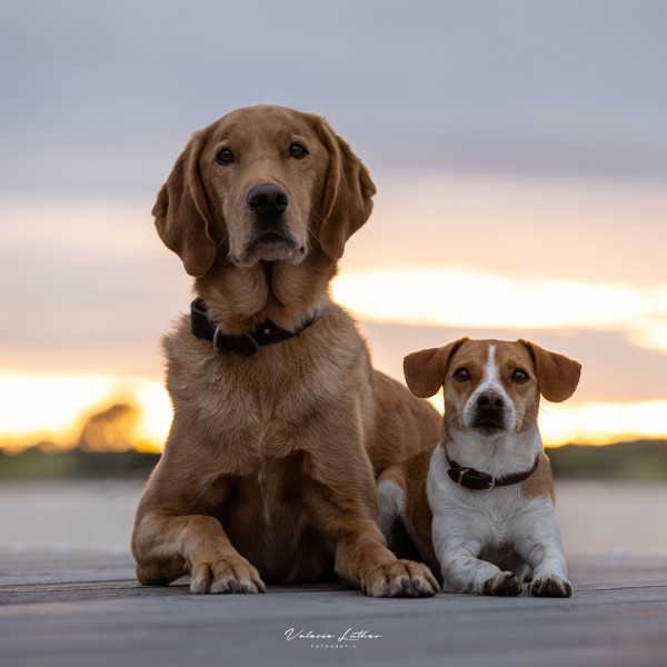 Mini-Sammel-Fotoshooting mit Valerie Luther