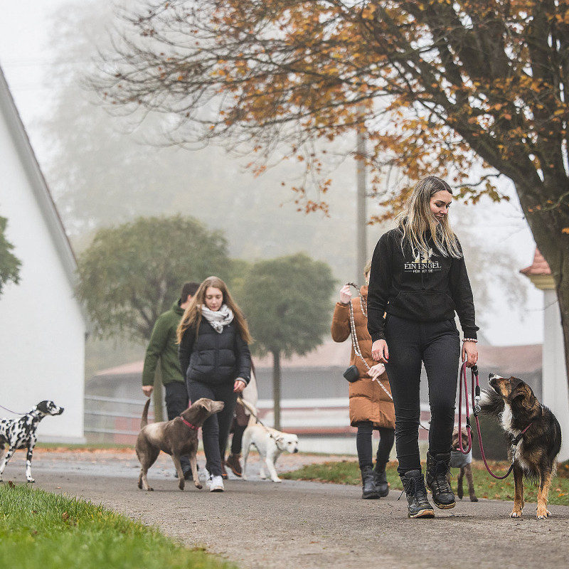 Social Walk