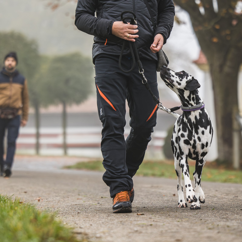 Leinenführigkeit
