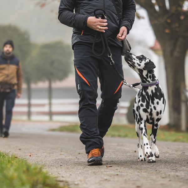 Leinenführigkeit-Kurs