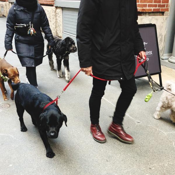 Alltagstraining für Dranbleiber / Fortgeschrittene