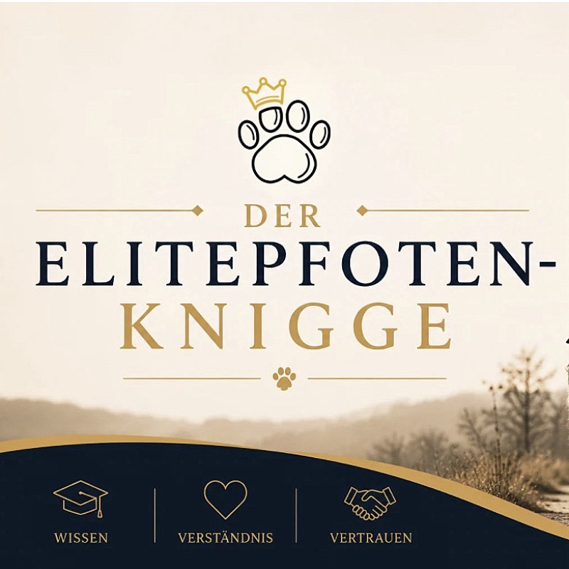 Elitepfoten-Knigge: Hundebegegnungen