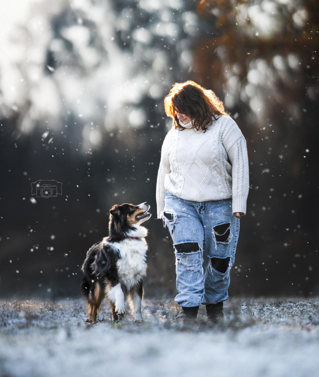 modernes Hundetraining mit Erfolg