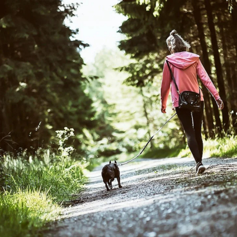 Leinenführigkeit Intensivtraining (Saskia)