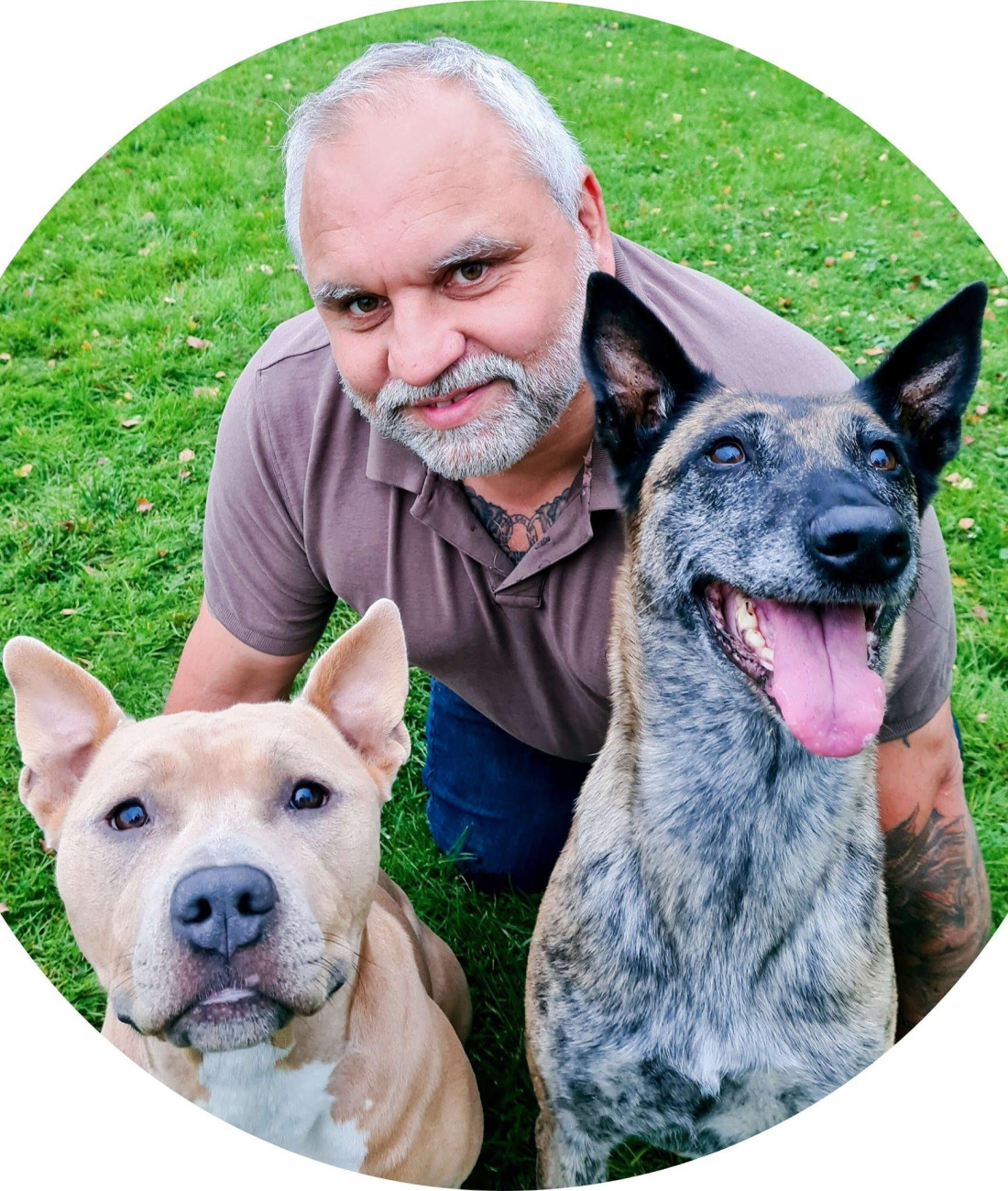 - die Hundeschule mit Herz und Verstand