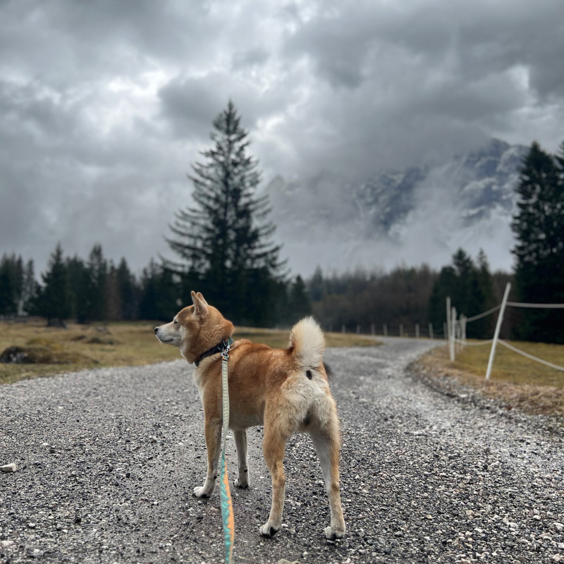 Krimiwanderung: Fall Kürbiskopf