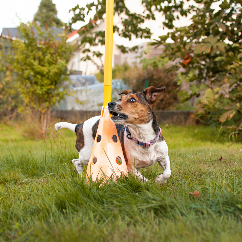 Crossdogging Samstag