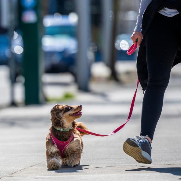 Fit für den Alltag 24.10.2025