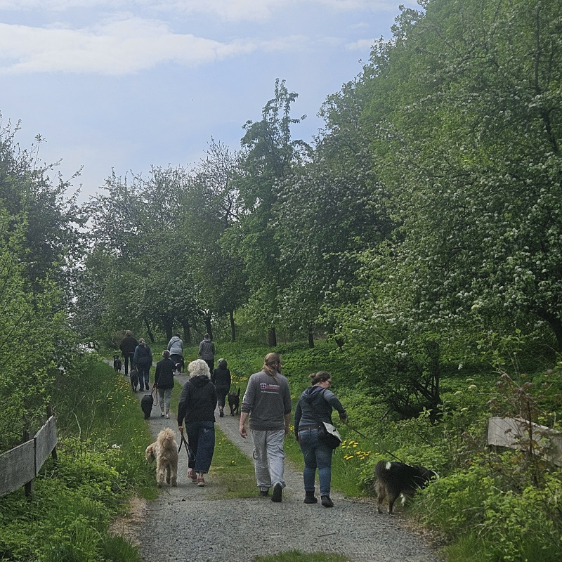 Social Walk
