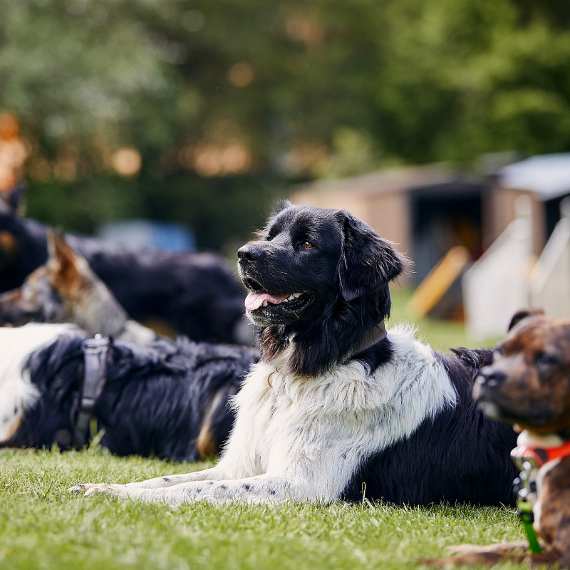 Alltagskurs - Albrechtsburg