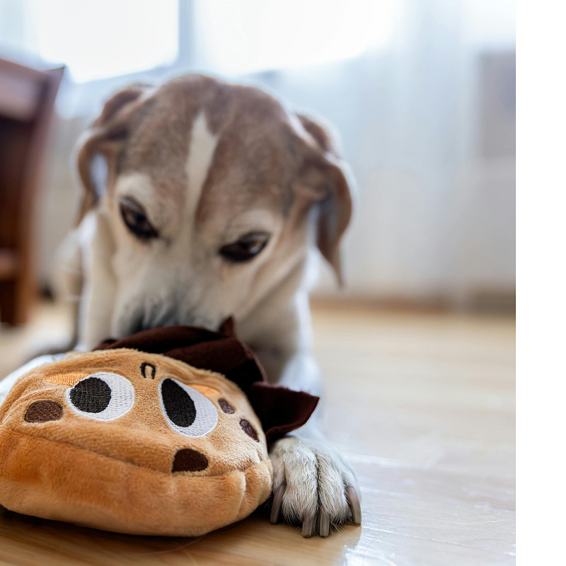 Suche nach klein(st)en Gegenständen