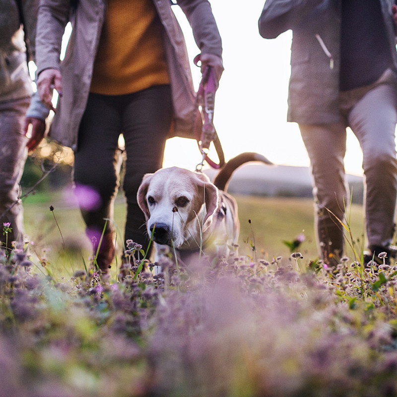 Social Walk Osterspezial