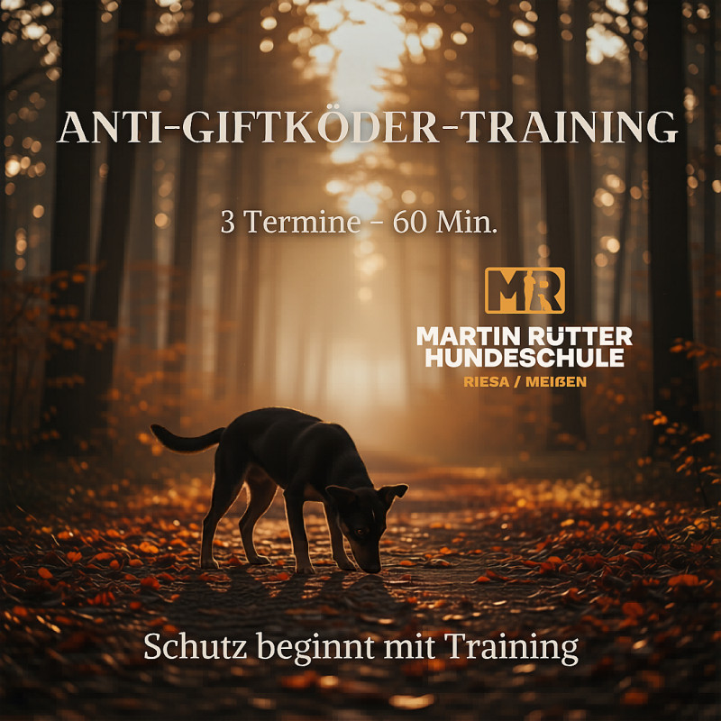 Anti Giftköder Kurs