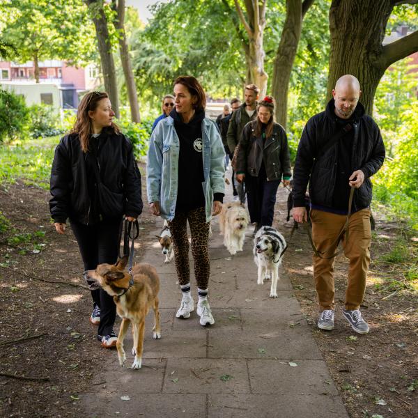 Social Walk "Spaziergang mit Köpfchen"