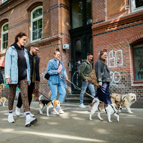 Social Walk St. Pauli - Spaziergang trifft Auslastung