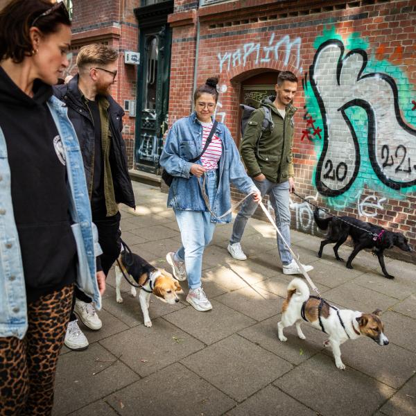 Social Walk "Walking & Talking"