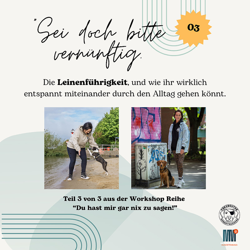 Workshop "Sei doch bitte vernünftig!" - PASSIVE Teilnahme