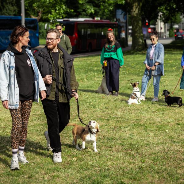 Leinenpöbler / Begegnungstraining - Freitags 15:30