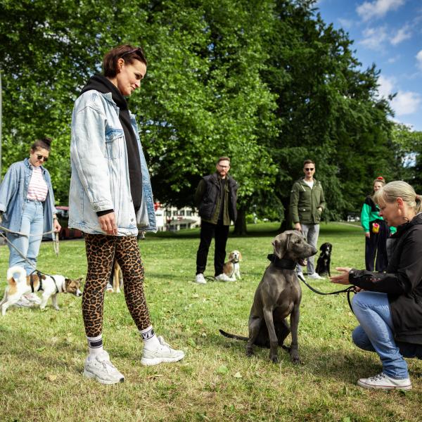 Aufbaukurs - Samstags 09:45