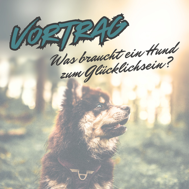 Was braucht mein Hund zum Glücklicksein? - Vortrag