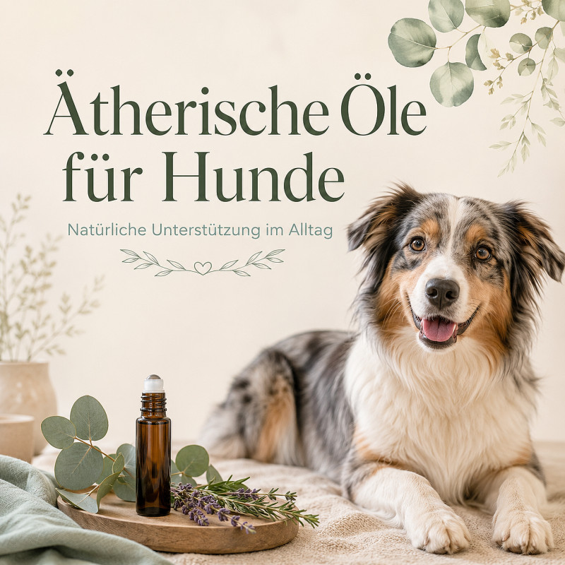 Mehr Wohlgefühl auf natürliche Weise - Workshop