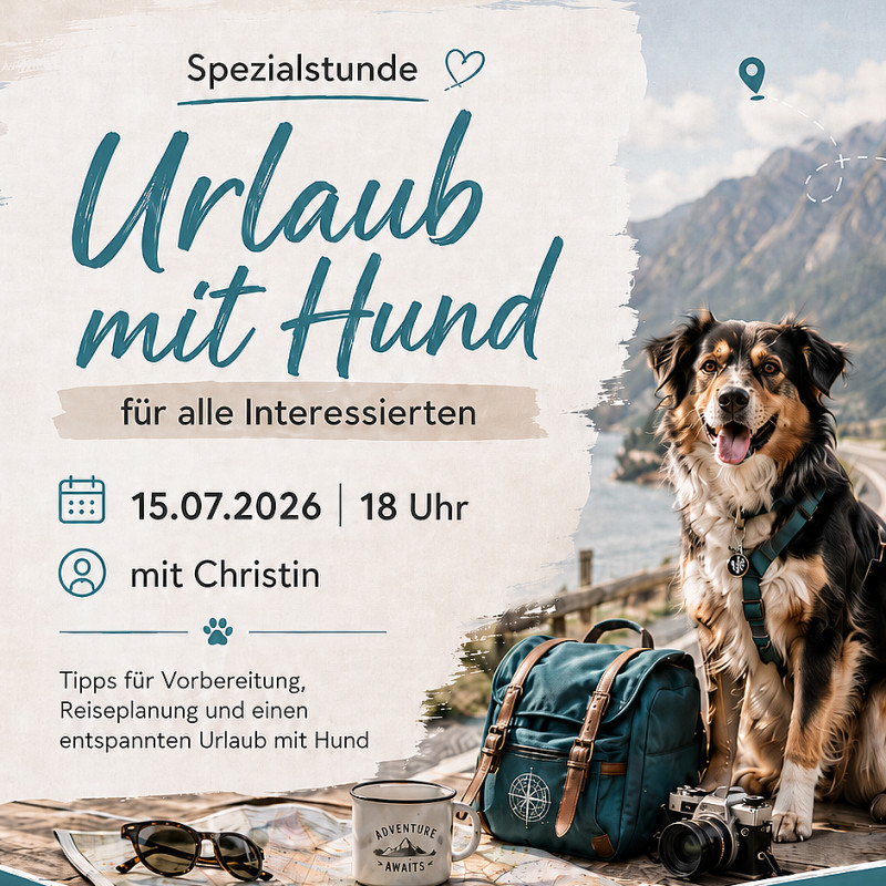 Sommerspezial Urlaub mit Hund