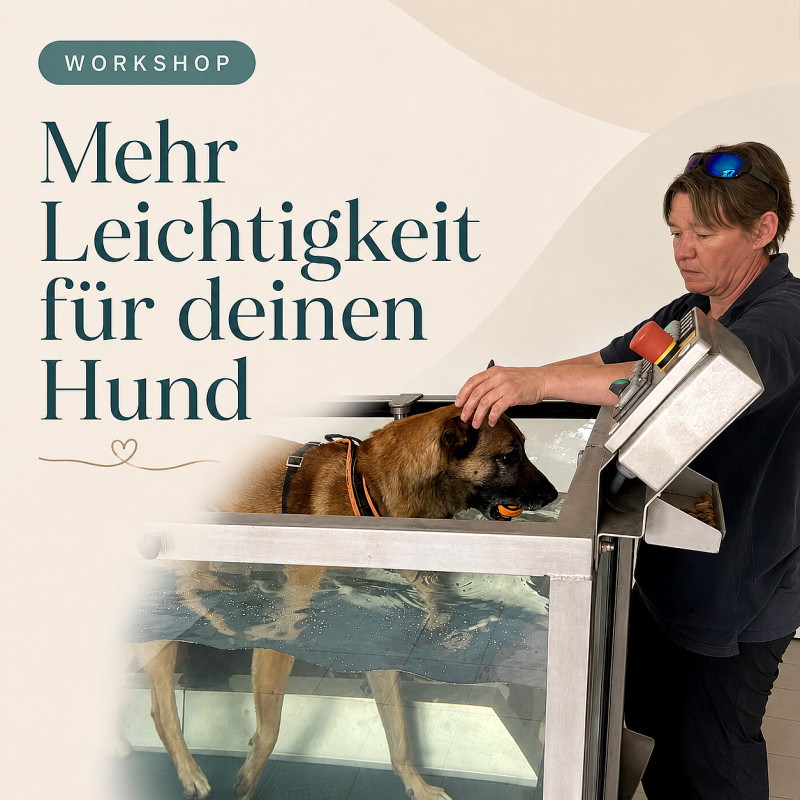 Mehr Leichtigkeit für deinen Hund - Physio Workshop