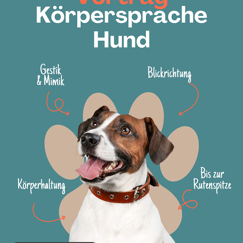 Vortrag Körpersprache Hund