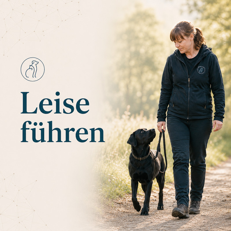 Leise Führen