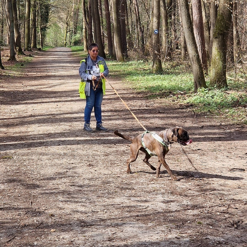 Mantrailinggruppe 🦡