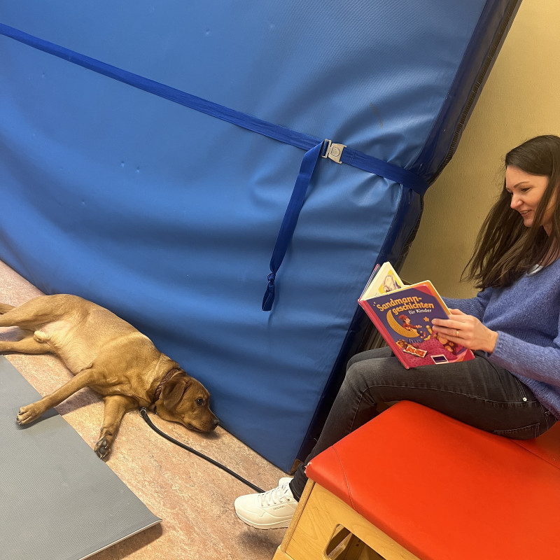 Ausbildung zum Vorlesehund