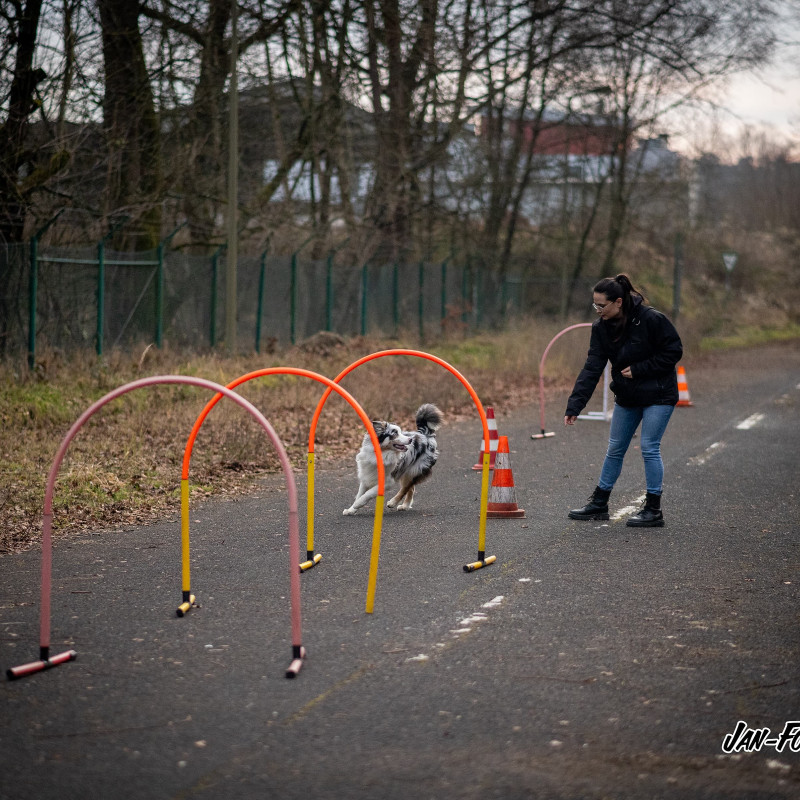 Hoopers 🐢 Outdoor