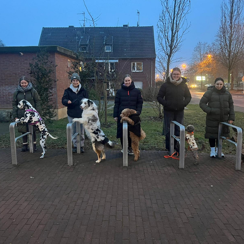 Basisgruppe 🦄