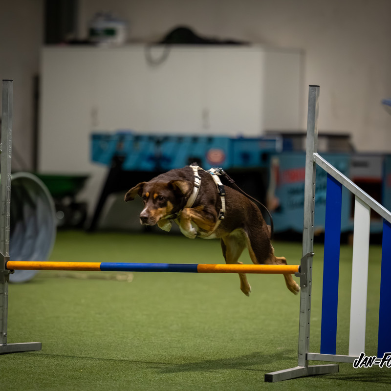 Agility