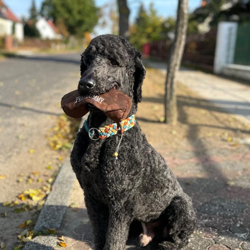 Workshop Dummytraining