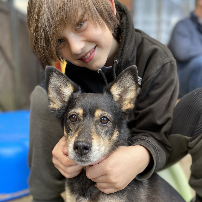 Kind-Hund-Kurs